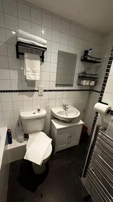 a bathroom with a toilet and a sink and a mirror at 2 Bedroom Flat Ground Floor Town Centre Colchester in Colchester