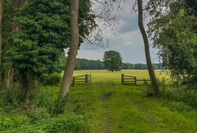 a field with a fence and a field with trees at 1 Bed in Quidenham oc-2232 in Quidenham