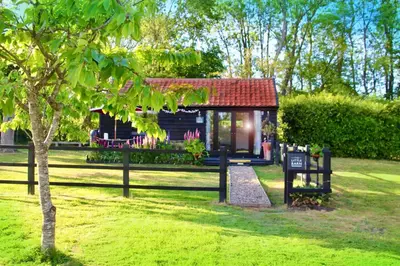 a small cabin in a park with a tree at The Little Barn in Hoxne
