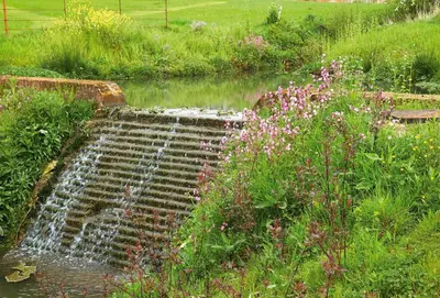 a garden with a water fountain in the grass at Endymion Lodge in Chappel