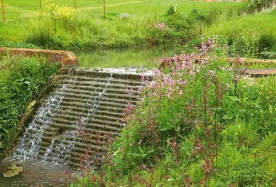 a garden with a water feature in the grass at Woodbell Lodge in Chappel