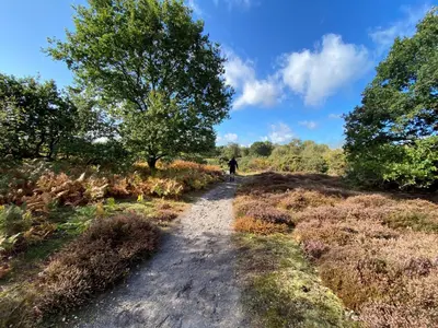 a person walking down a path in a field at Admiral Cottage in Woodbridge
