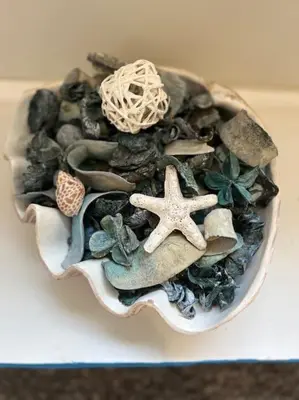a bowl filled with shells and starfish at Deluxe Apartment in Southend-On-Sea by Artisan Stays I Free Parking I Sleeps 5 in Southend-on-Sea