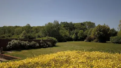 a large field with yellow flowers in a yard at Paddock Barn ~ Short & Long term stay, pets welcome ~ Woodbridge, Framlingham ar in Cretingham