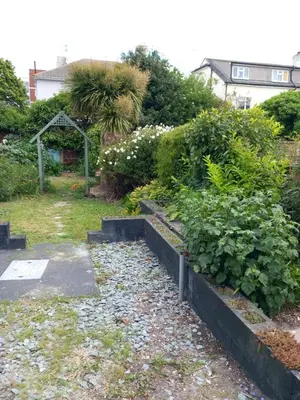 a garden with some bushes and a bunch of plants at Beach palace in Clacton-on-Sea