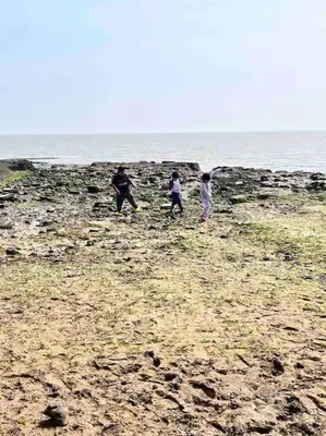 three people playing with a frisbee on the beach at Lola’s Caravan. Your home away from home. in Parkeston