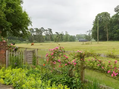 a fence with pink flowers in a field with a cow at Covert Cottage in Gasthorpe