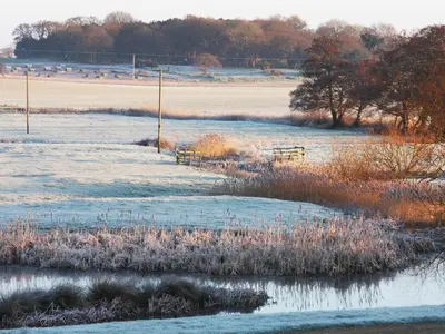 a snow covered field with benches and birds in the distance at Valley Farm Cottage in Sudbourne
