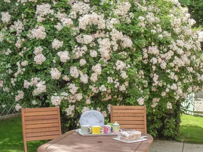 a table and two chairs in front of a bush with flowers at Bell Corner Cottage in Cratfield