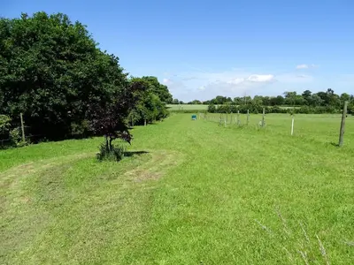 a field with a tree in the middle of it at Meadow View in Leiston