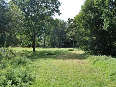 a dirt road in a field with trees and grass at The Coach House in Saxmundham