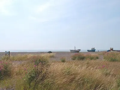 two boats on the beach with grass and flowers at Nightingales in Hollesley