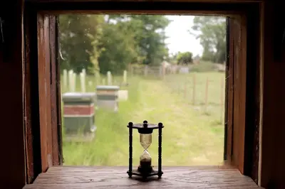 a window view of a field with a vase sitting on a table at The Falgate Shepherd's Hut in Caston