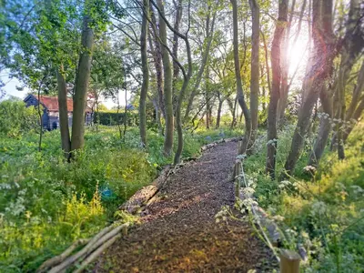 a path through a forest with a house in the background at The Little Barn in Hoxne