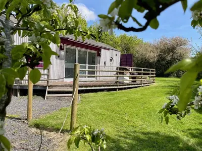 a cabin with a porch and a grass yard at Purple CargoPod at Lee Wick Farm Cottages & Glamping in Clacton-on-Sea