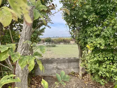 a garden with trees and a field in the background at MegaPod 3 at Lee Wick Farm Cottages & Glamping in Clacton-on-Sea
