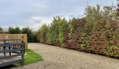 a fence and a bench in front of a hedge at MegaPod 1 at Lee Wick Farm Cottages & Glamping in Clacton-on-Sea