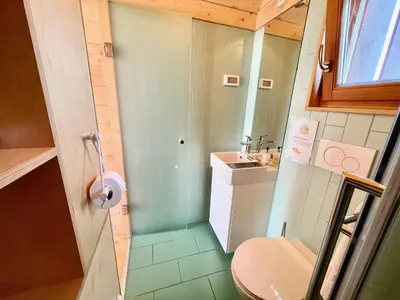 a small bathroom with a toilet and a sink at Lushna 4 Petite at Lee Wick Farm Cottages & Glamping in Clacton-on-Sea