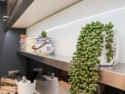 a bunch of green grapes on a shelf at Cavan Cottage in Saxmundham
