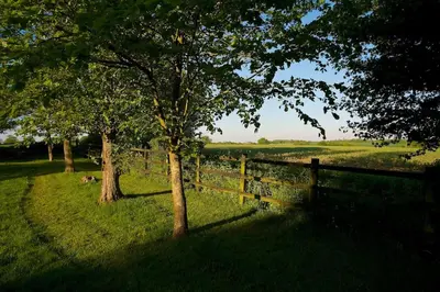 a fence in a field with trees and grass at Stunning barn conversion ideal for large families in Bildeston