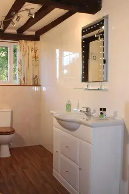 a bathroom with a sink and a toilet and a mirror at Colston Hall Farmhouse B&B in Framlingham