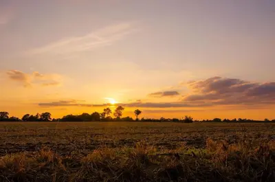 a field with the sunset in the background at Baytree Cottage Framlingham in Framlingham
