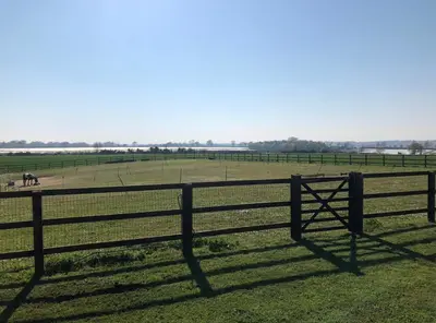 a fence in a field with a horse in the distance at Near Woodbridge The Annexe Eyke Fantastic views with Dog secure Garden and Paddock in Eyke