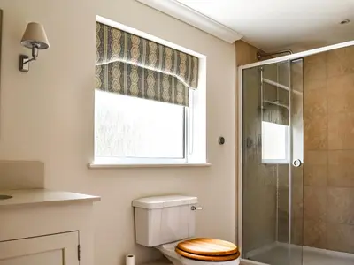 a bathroom with a toilet and a shower at An Croke in Higham