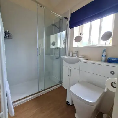 a bathroom with a shower and a toilet and a sink at Kings Head in North Lopham