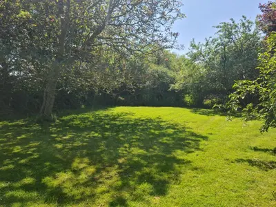 a grassy field with trees in the background at The Potting Shed in Manuden