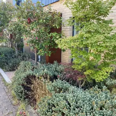 Homely & Warm Trumpington House w Parking