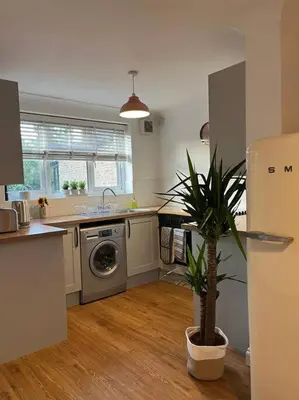 a kitchen with a potted plant in a kitchen at Chic 2 bedroom cottage in Willingham