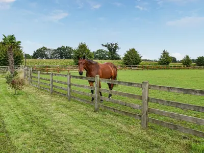 a brown horse standing behind a wooden fence at Cedar Lodge in Old Buckenham