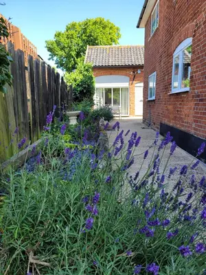 a garden with purple flowers next to a brick building at Entire 2 bed coach house in peaceful Norfolk village in Pulham