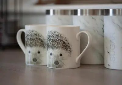 a couple of coffee cups with hedgehogs on them at Hedgehog Cottage in Bury Saint Edmunds