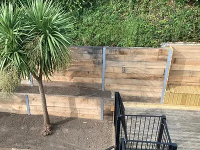 a palm tree in front of a wooden fence at The Pink House in Felixstowe