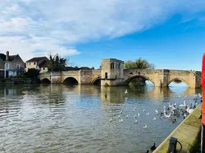 a group of ducks in the water under a bridge at Comfy, king bed families & Contractors welcome in St Ives