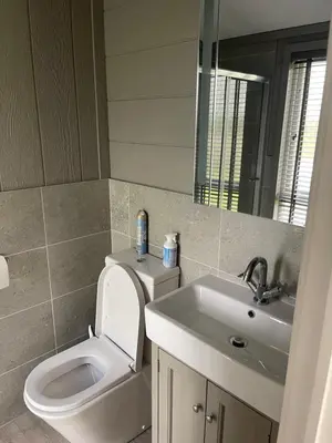 a bathroom with a toilet and a sink and a mirror at Glasshouse hot tub lodge in Hengrave