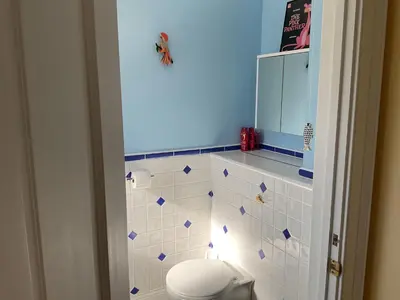a bathroom with a toilet and a blue wall at Peaceful house ideal for dogs lovely location in Aldeburgh