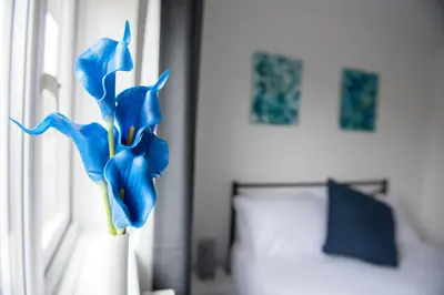 a blue flower in a white vase next to a window at Mowbray Quarters of Cambridge in Cambridge