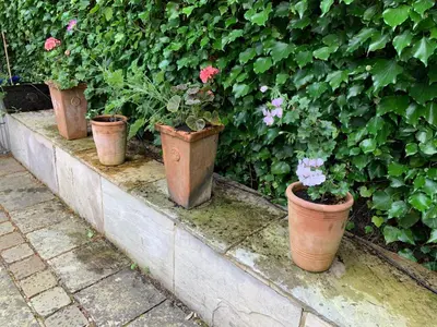 a row of potted plants sitting on a brick wall at Beautiful Apartment Wendens Ambo in Wendens Ambo