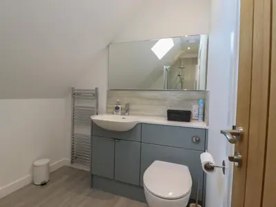 a bathroom with a sink and a toilet and a mirror at Wellington Cottage in Ely