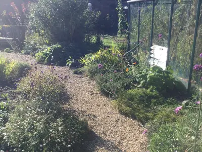 a garden with a fence and some plants at STACK YARD COTTAGE. in Cambridge