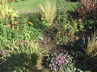 a garden with many different flowers and plants at STACK YARD COTTAGE. in Cambridge