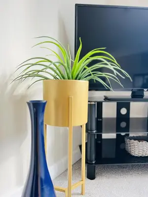 a plant in a yellow pot sitting next to a tv at Newmarket - Suffolk Flat with Garden EV in Newmarket