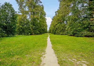 a path in the middle of a field with trees at Gardeners Cottage - Nowton Park in Bury Saint Edmunds
