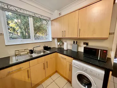 a kitchen with a sink and a washing machine at Fig Tree Central Cambridge Apartment Walk to Colleges & River Cam in Cambridge