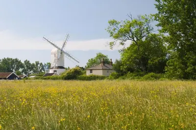 a field of yellow flowers in front of a windmill at 2 Bed in Dennington oc-b28010 in Dennington