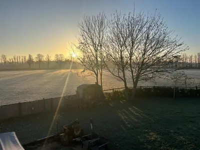 a sun is shining on a field with a tree at Beautiful shepherd’s hut in Newmarket
