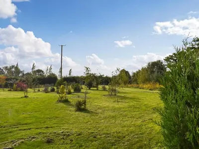 a field with trees in the middle of a field at Owls Nest in Stradbroke